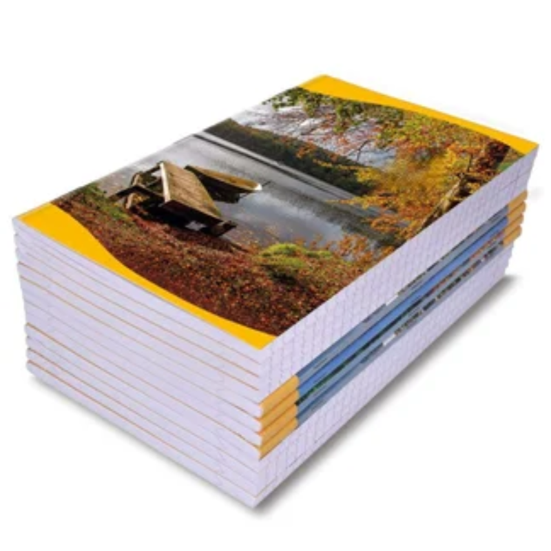 Professional Ruled Office Notebook